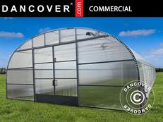 Tuinbouw tunnelkas, 8,6x16x3,95m, Transparant