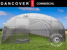 Tuinbouw tunnelkas, 9,7x16x3,95m, Transparant