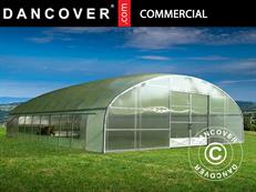 Tuinbouw tunnelkas, 12x16x4,71m, Transparant