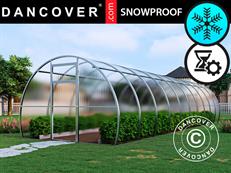 Serre polycarbonate, Strong NOVA 30m², 3x10m, Argent