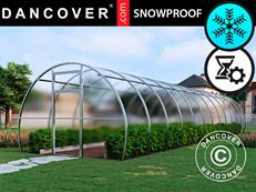 Serre polycarbonate, Strong NOVA 36m², 3x12m, Argent