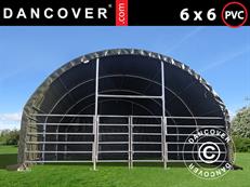 Abri pour bétail 6x6x3,7m, PVC, Vert