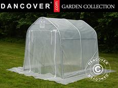 Polytunnel Greenhouse, 2x2x2 m, PE, 4 m², Transparent