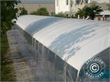 Abri tunnel pour piscine, pliable, 6x8,24x2,7m, Blanc/Transparent