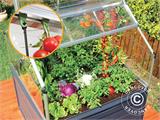 Mini Greenhouse PLANT INN, Palram/Canopia, 1.18x1.18x1.48 m, Clear Mini Greenhouse PLANT INN, Palram/Canopia, 1.18x1.18x1.48 m, Clear