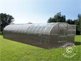 Greenhouse polycarbonate TITAN Arch 320, 36 m², 3x12 m, Silver Greenhouse polycarbonate TITAN Arch 320, 36 m², 3x12 m, Silver