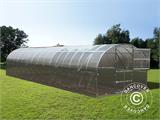 Serre polycarbonate TITAN Arch 320, 36m², 3x12m, Argent