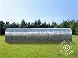 Serre polycarbonate TITAN Arch 320, 36m², 3x12m, Argent