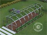 Invernadero de policarbonato TITAN Arch 280, 24m², 3x8m, Plateado Invernadero de policarbonato TITAN Arch 280, 24m², 3x8m, Plateado
