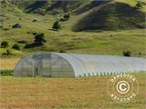Tuinbouw tunnelkas, 8,5x15x3,3m, Transparant Tuinbouw tunnelkas, 8,5x15x3,3m, Transparant