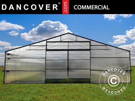 Serre tunnel professionnelle, 10x16x3,95m, Transparent