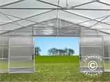 Serre tunnel professionnelle, 10x16x3,95m, Transparent