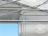 Serre tunnel professionnelle, 10x16x3,95m, Transparent