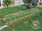 Serre polycarbonate, Strong NOVA 30m², 3x10m, Argent Serre polycarbonate, Strong NOVA 30m², 3x10m, Argent