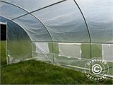 Polytunnel Greenhouse 3x4.5x2 m, 13.5m², Transparent Polytunnel Greenhouse 3x4.5x2 m, 13.5m², Transparent
