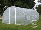 Polytunnel Greenhouse 3x6x2 m, 18 m², Transparent