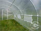 Polytunnel Drivhus 3x6x2m, 18m², Transparent