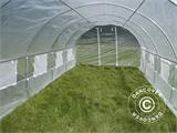 Polytunnel Drivhus 3x6x2m, 18m², Transparent