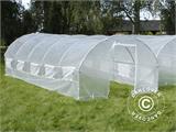 Polytunnel Drivhus 4x6,6x2m, 26,4m², Transparent