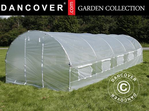 Polytunnel Greenhouse 4x10.6x2 m, 42.4 m², Transparent