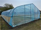 Polytunnel Greenhouse, 6x10x2.5 m, 100-micron PO Film, Transparent Polytunnel Greenhouse, 6x10x2.5 m, 100-micron PO Film, Transparent