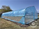 Polytunnel Greenhouse, 6x10x2.5 m, 100-micron PO Film, Transparent Polytunnel Greenhouse, 6x10x2.5 m, 100-micron PO Film, Transparent
