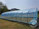 Polytunnel Greenhouse, 6x10x2.5 m, 100-micron PO Film, Transparent Polytunnel Greenhouse, 6x10x2.5 m, 100-micron PO Film, Transparent