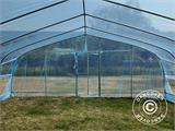 Polytunnel Greenhouse, 6x10x2.5 m, 100-micron PO Film, Transparent Polytunnel Greenhouse, 6x10x2.5 m, 100-micron PO Film, Transparent