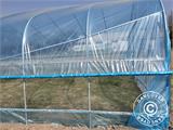 Polytunnel Greenhouse, 6x10x2.5 m, 100-micron PO Film, Transparent Polytunnel Greenhouse, 6x10x2.5 m, 100-micron PO Film, Transparent