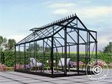 Invernadero de cristal 2,44x3,68x2,34m con base y crestería/cima, 8,97m², Negro Invernadero de cristal 2,44x3,68x2,34m con base y crestería/cima, 8,97m², Negro