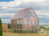 Serre en bois Aigle, 2,1x2,05x2,59m, 4,3m², Naturel RESTE SEULEMENT 3 PC Serre en bois Aigle, 2,1x2,05x2,59m, 4,3m², Naturel RESTE SEULEMENT 3 PC