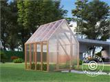 Serre en bois Aigle, 2,1x2,05x2,59m, 4,3m², Naturel RESTE SEULEMENT 3 PC Serre en bois Aigle, 2,1x2,05x2,59m, 4,3m², Naturel RESTE SEULEMENT 3 PC