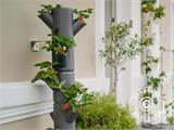 Plant tower, SISSI STRAWBERRY, vertical planter, Anthracite
