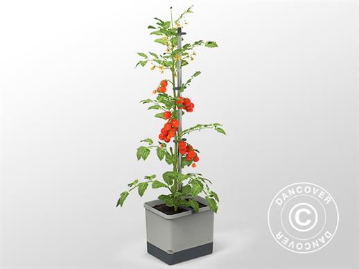 Jardinière, TOM TOMATO, avec piquet et réservoir d’eau, Gris clair