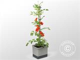 Plantenbak, TOM TOMATO, met stok en waterreservoir, Lichtgrijs