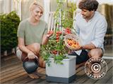 Jardinière, TOM TOMATO, avec piquet et réservoir d’eau, Gris clair