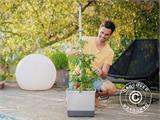 Jardinière, TOM TOMATO, avec piquet et réservoir d’eau, Gris clair Jardinière, TOM TOMATO, avec piquet et réservoir d’eau, Gris clair