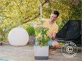 Planter, TOM TOMATO, w/stake and water tank, Light Grey