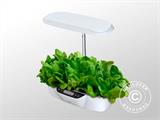 Hydroponic-Pflanzkasten mit LED-Wachstumslicht, 0,204x0,40x0,195m, Weiß Hydroponic-Pflanzkasten mit LED-Wachstumslicht, 0,204x0,40x0,195m, Weiß