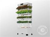 Armario de cultivo hidropónico con LED, 0,77x0,4x1,7m, Blanco Armario de cultivo hidropónico con LED, 0,77x0,4x1,7m, Blanco