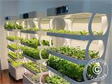 Armario de cultivo hidropónico con LED, 0,77x0,4x1,7m, Blanco Armario de cultivo hidropónico con LED, 0,77x0,4x1,7m, Blanco