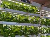 Armario de cultivo hidropónico con LED, 0,77x0,4x1,7m, Blanco Armario de cultivo hidropónico con LED, 0,77x0,4x1,7m, Blanco