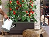 Planter box CityJungle incl. winter cover, self-watering box, 62x33x128 cm, Anthracite