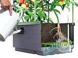 Fioriera CityJungle incl. copertura invernale, sistema di auto irrigazione, 62x33x128cm, Antracite