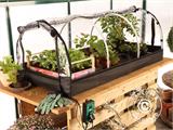 Mini greenhouse propagator JUMBO XXL w/heating mat, 60x130x50 cm, Transparent Mini greenhouse propagator JUMBO XXL w/heating mat, 60x130x50 cm, Transparent