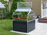Mini Greenhouse PLANT INN, Palram/Canopia, 1.18x1.18x1.48 m, Clear Mini Greenhouse PLANT INN, Palram/Canopia, 1.18x1.18x1.48 m, Clear