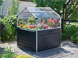 Mini Greenhouse PLANT INN, Palram/Canopia, 1.18x1.18x1.48 m, Clear