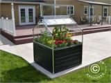 Mini Greenhouse PLANT INN, Palram/Canopia, 1.18x1.18x1.48 m, Clear Mini Greenhouse PLANT INN, Palram/Canopia, 1.18x1.18x1.48 m, Clear