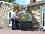 Mini Greenhouse PLANT INN, Palram/Canopia, 1.18x1.18x1.48 m, Clear Mini Greenhouse PLANT INN, Palram/Canopia, 1.18x1.18x1.48 m, Clear