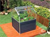 Mini Greenhouse PLANT INN, Palram/Canopia, 1.18x1.18x1.48 m, Clear Mini Greenhouse PLANT INN, Palram/Canopia, 1.18x1.18x1.48 m, Clear